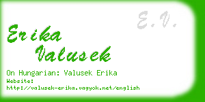 erika valusek business card